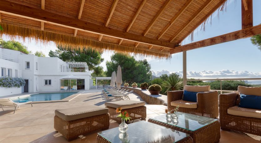 Photo of Mimosa Trees