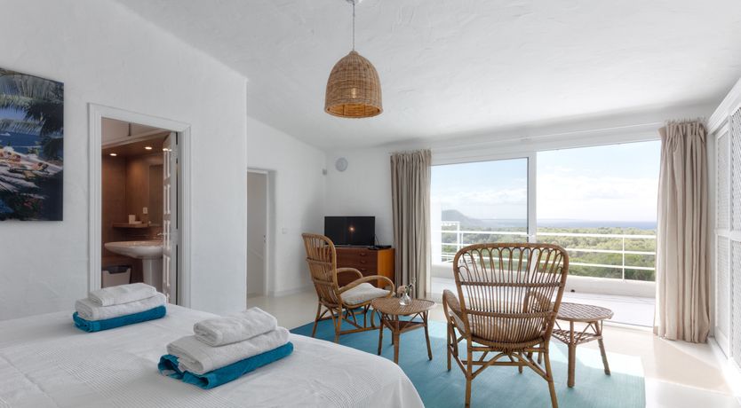 Photo of Mimosa Trees