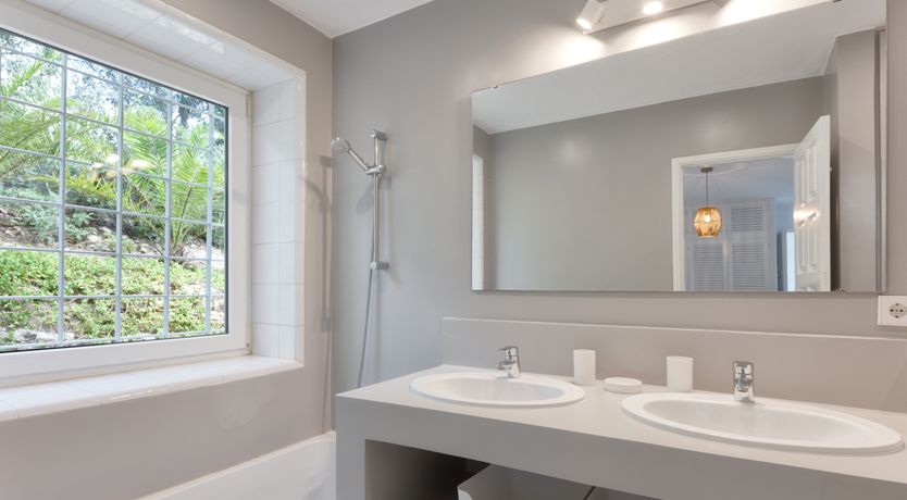 Photo of Mimosa Trees