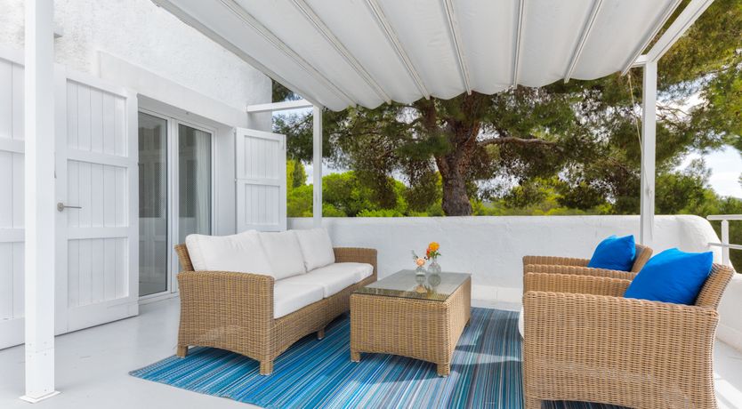 Photo of Mimosa Trees