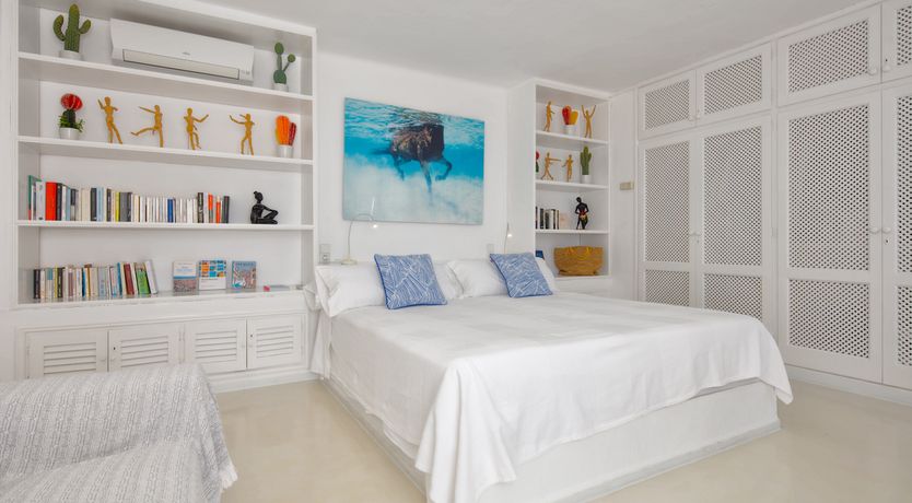 Photo of Mimosa Trees