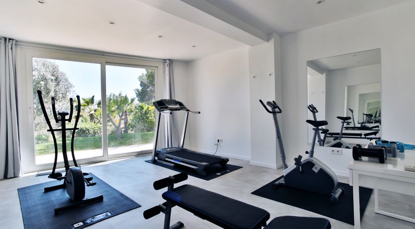 Photo of Mimosa Trees