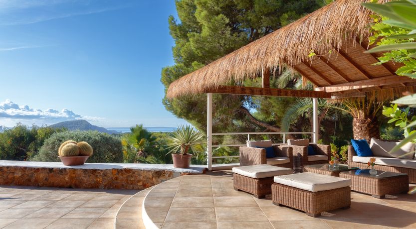 Photo of Mimosa Trees