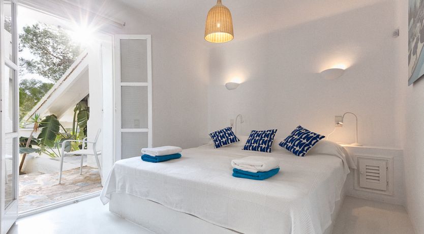 Photo of Mimosa Trees