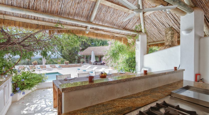 Photo of Mimosa Trees