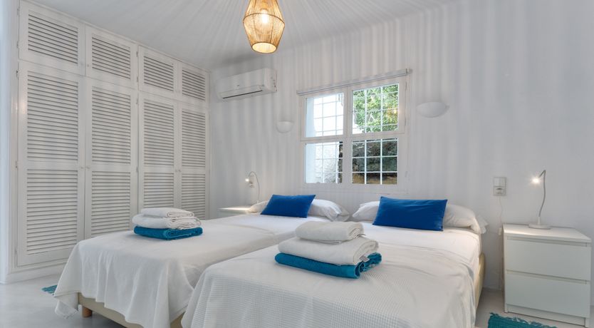 Photo of Mimosa Trees