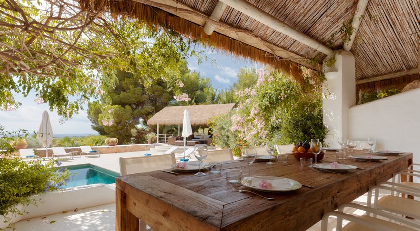 Photo of Mimosa Trees