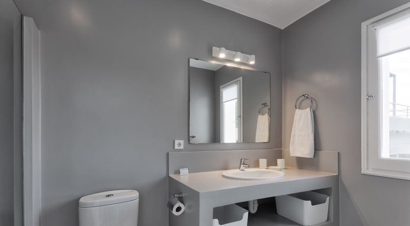 Photo of Mimosa Trees