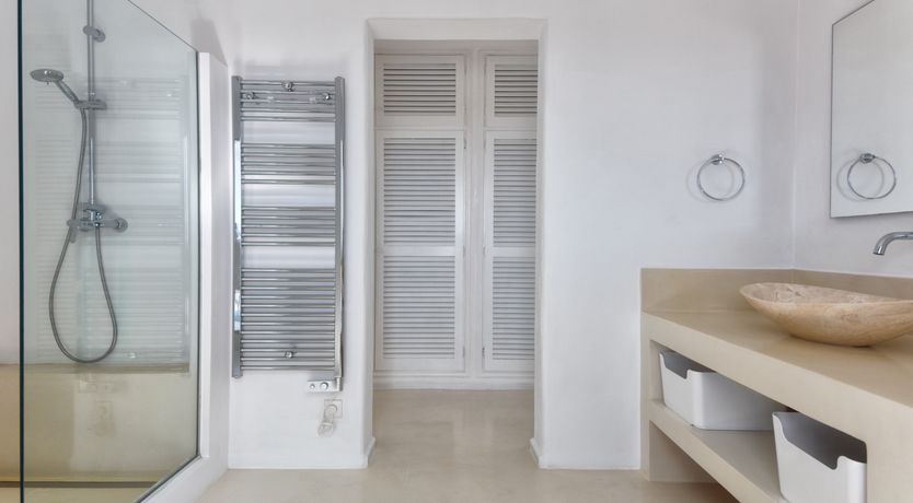 Photo of Mimosa Trees