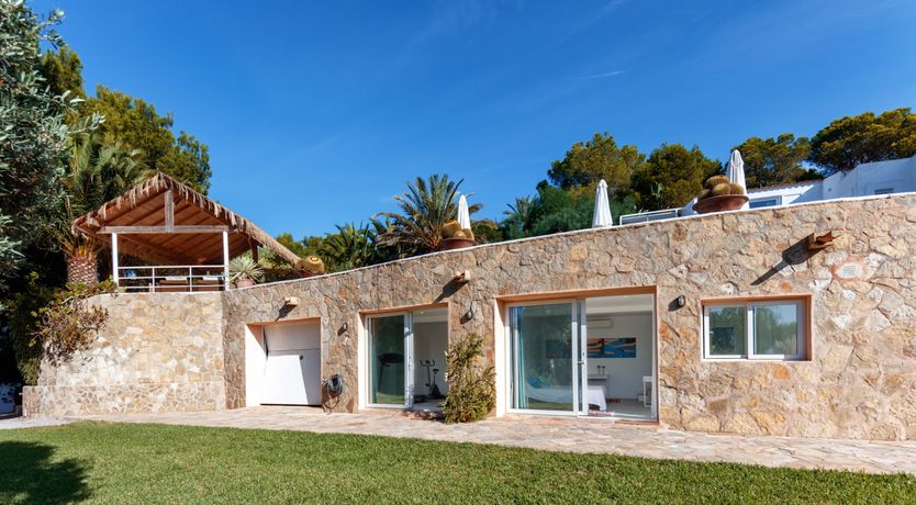 Photo of Mimosa Trees