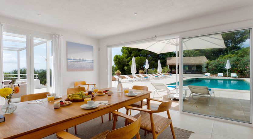 Photo of Mimosa Trees