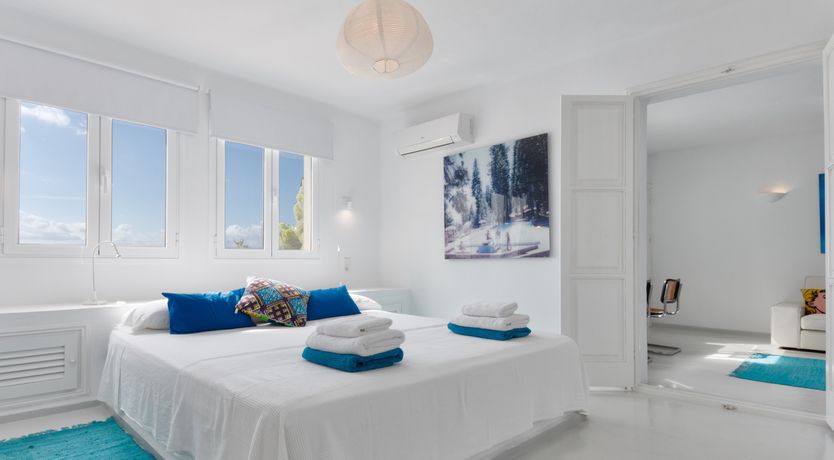 Photo of Mimosa Trees