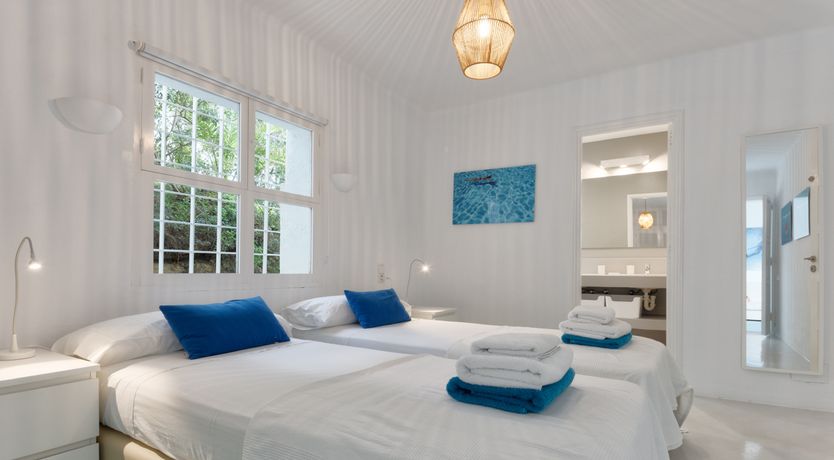 Photo of Mimosa Trees