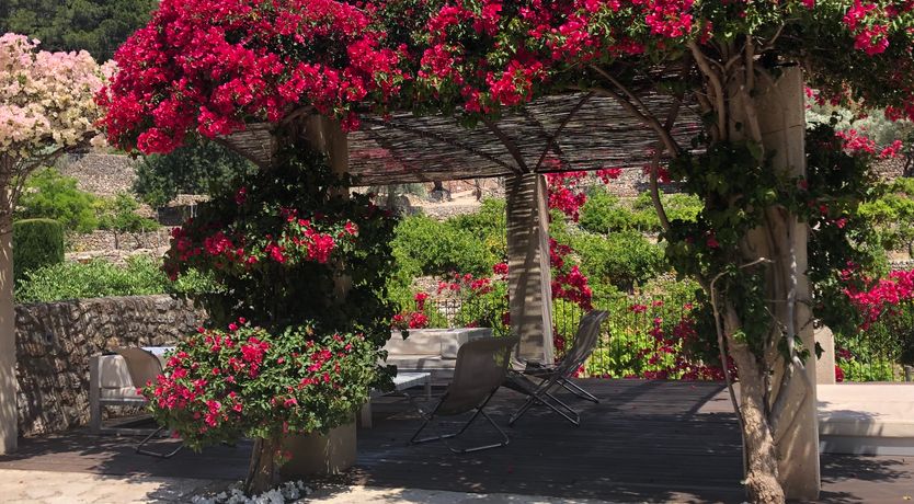 Photo of Sóller Sunsets