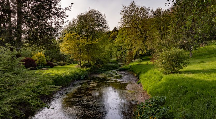 Photo of Midsummer's Dream