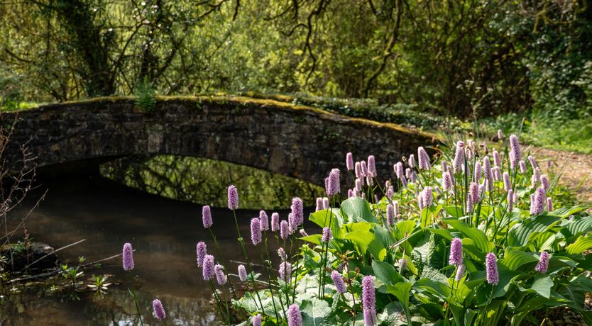 Photo of Midsummer's Dream