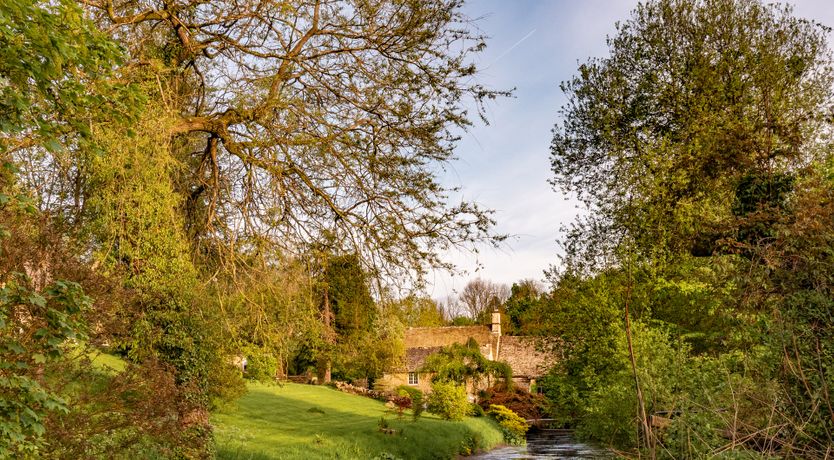 Photo of Midsummer's Dream