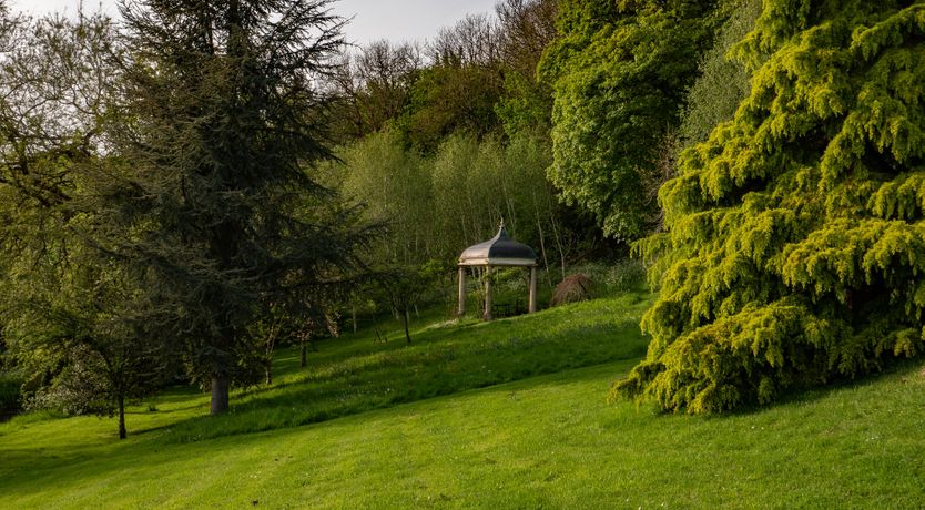 Photo of Midsummer's Dream