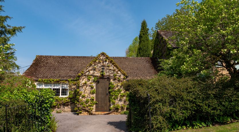 Photo of Midsummer's Dream