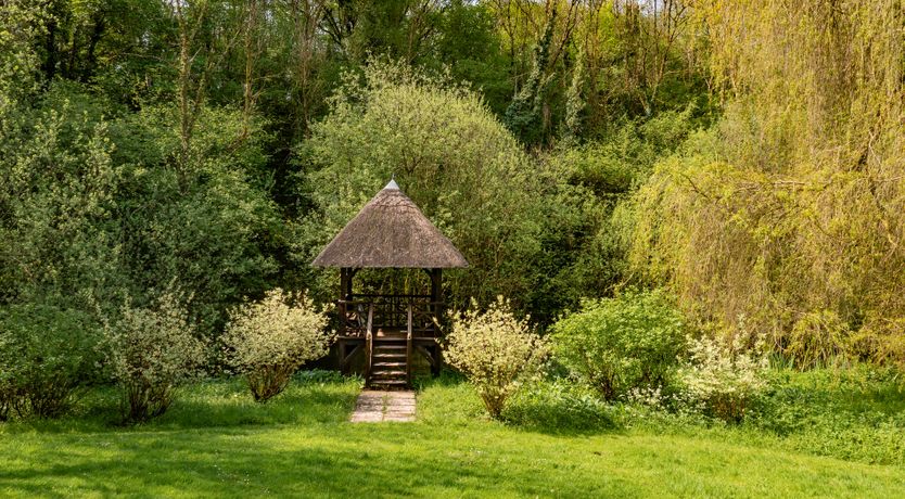 Photo of Midsummer's Dream