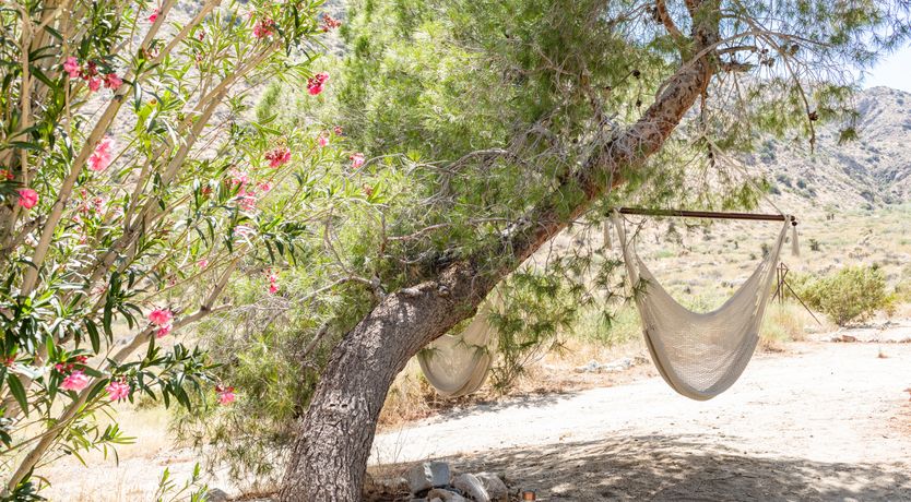 Photo of Merchant House High Desert