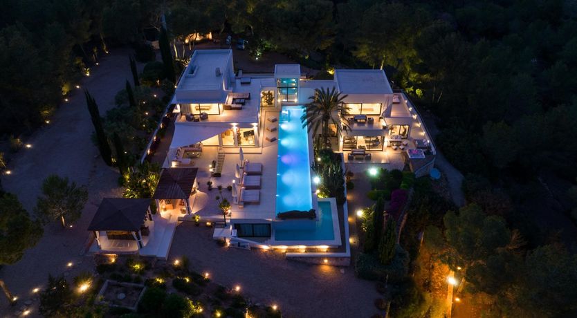 Photo of Promise of Palms