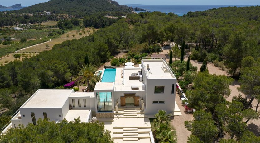 Photo of Promise of Palms