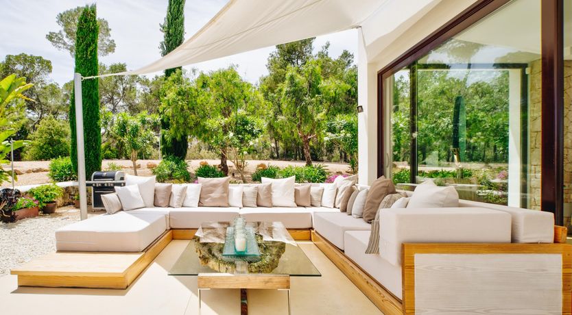 Photo of Promise of Palms