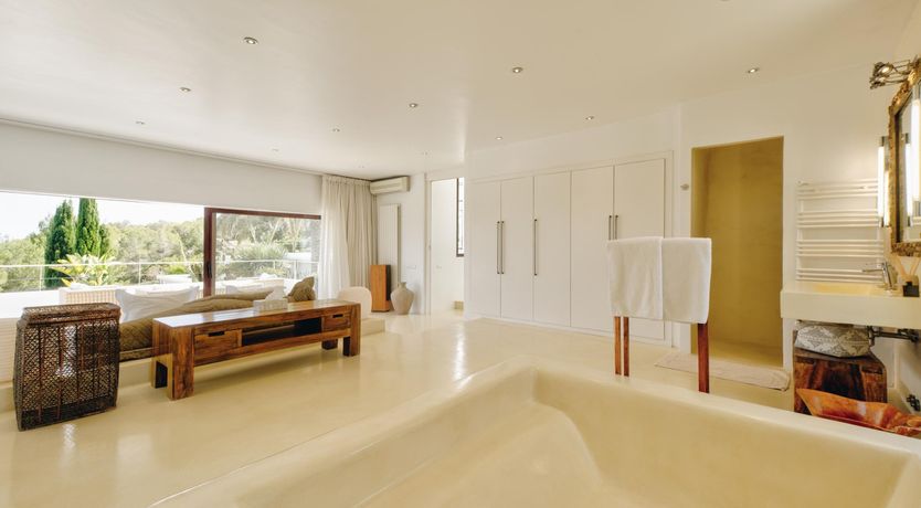 Photo of Promise of Palms