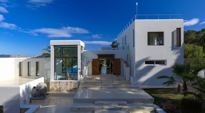 Photo of Promise of Palms