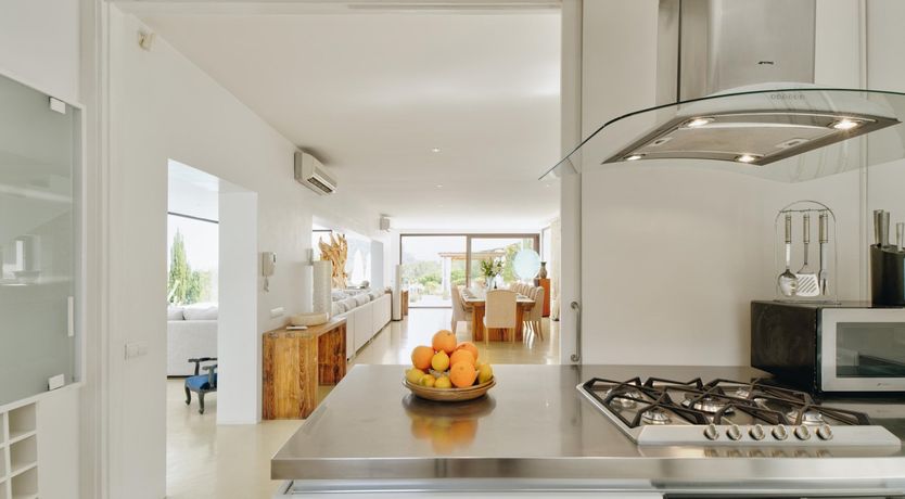 Photo of Promise of Palms