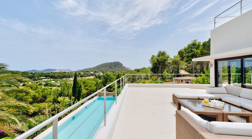 Photo of Promise of Palms