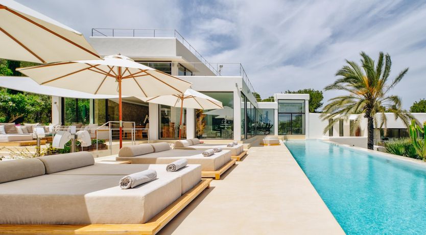 Photo of Promise of Palms