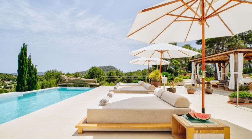 Photo of Promise of Palms