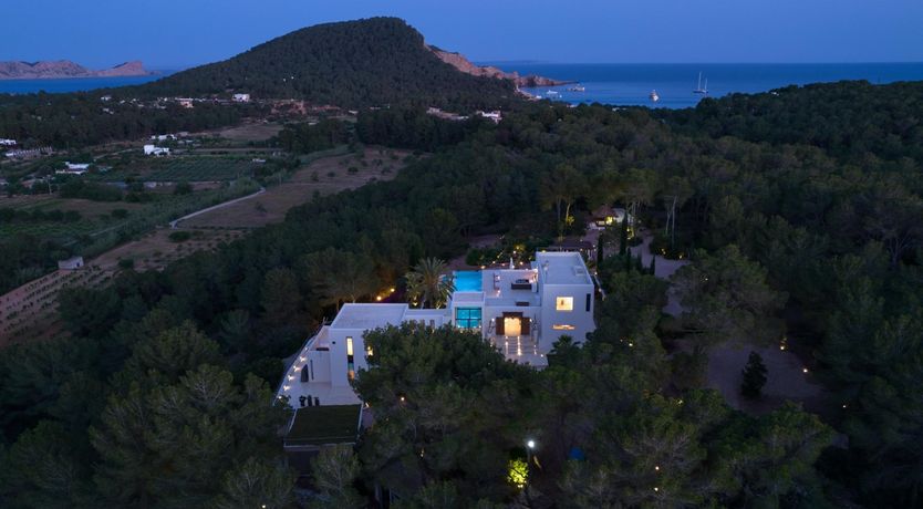 Photo of Promise of Palms