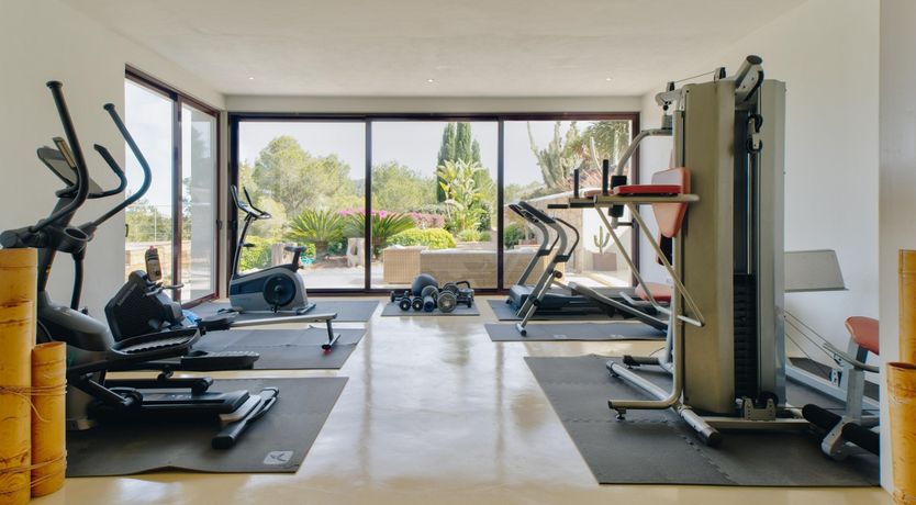 Photo of Promise of Palms