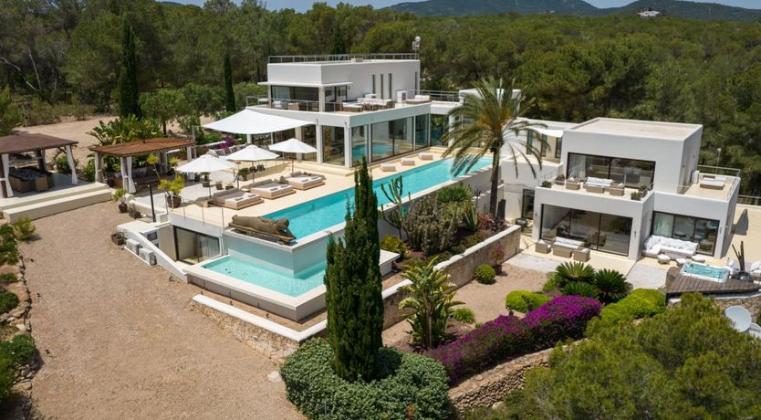 Photo of Promise of Palms