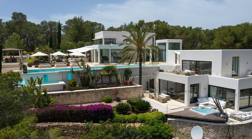 Photo of Promise of Palms