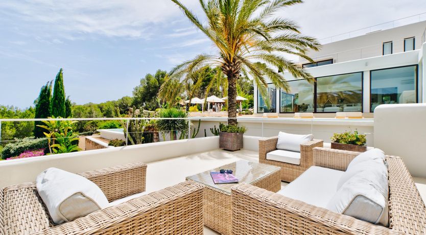 Photo of Promise of Palms