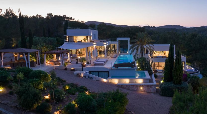 Photo of Promise of Palms