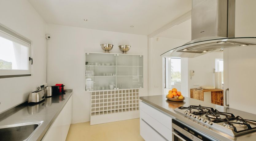 Photo of Promise of Palms