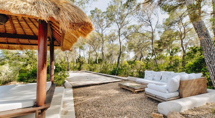 Photo of Promise of Palms