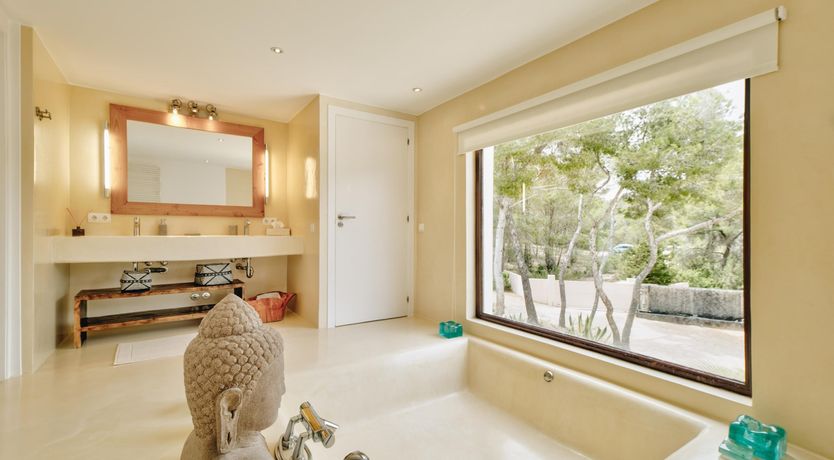 Photo of Promise of Palms