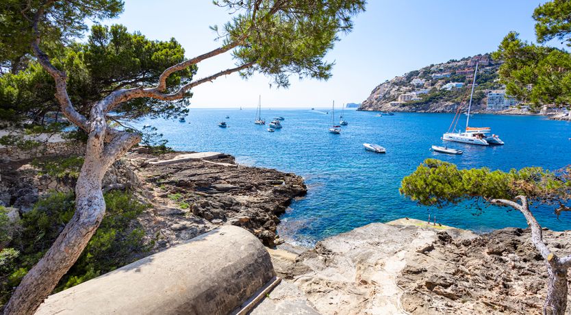 Photo of White Tides