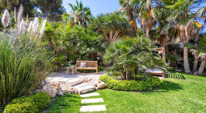 Photo of White Tides