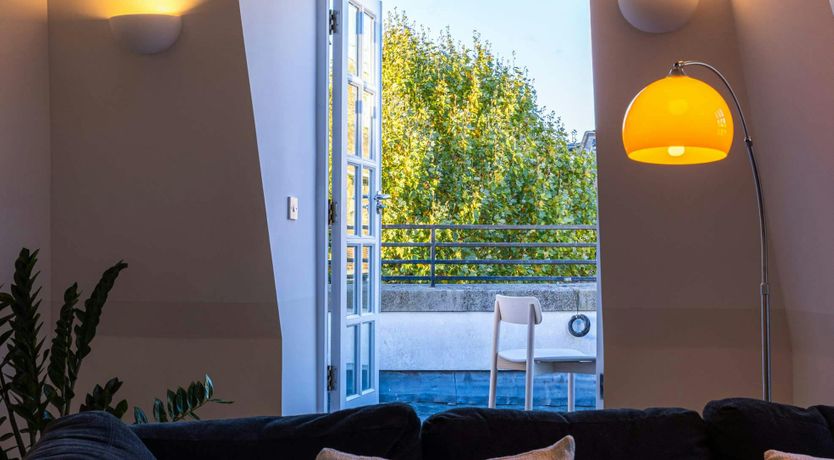 Photo of Pimlico Prince