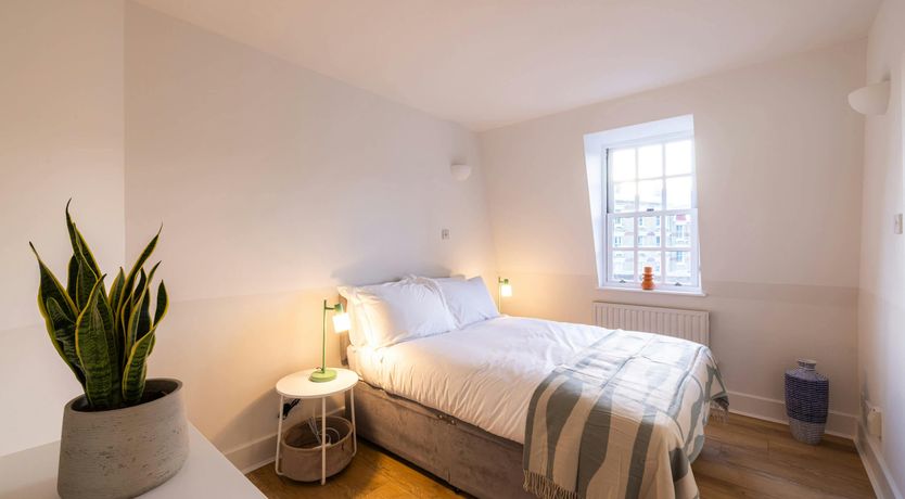 Photo of Pimlico Prince