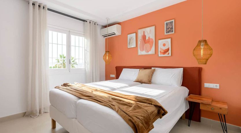 Photo of Ibiza's Delight