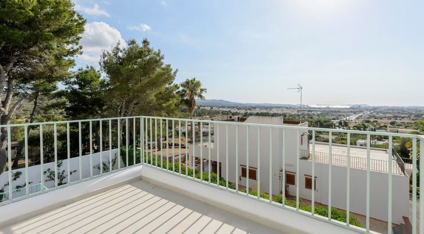 Photo of Ibiza's Delight