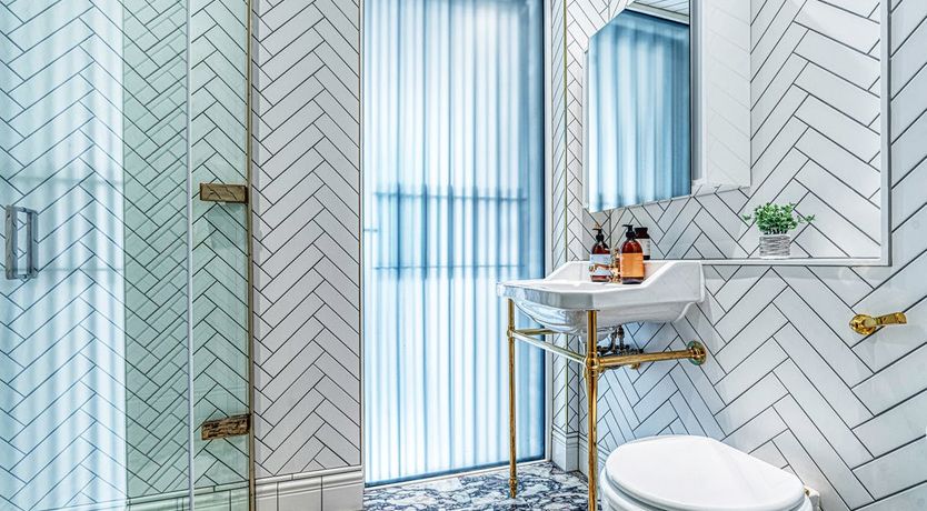 Photo of The Velvet Moon